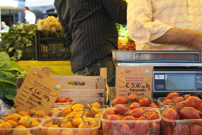 Campo dei Fiori Market and Trevi Fountain District Food & Wine Tour in Rome - Who Is This Tour Best For?