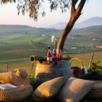 Camporeale: Sallier de La Tour Wine Discovery Tour - What You Can Expect During the Tour