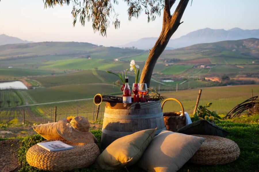 Camporeale: Sallier de La Tour Wine Discovery Tour - What You Can Expect During the Tour