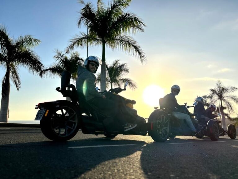 Can-am Ryker moto / buggy / quad Tour: Coast (Maspalomas) - The Itinerary: What to Expect