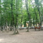 Candy Mountains - Guba - Khinaliq Guided Full Day Tour - The Itinerary and What You Can Expect