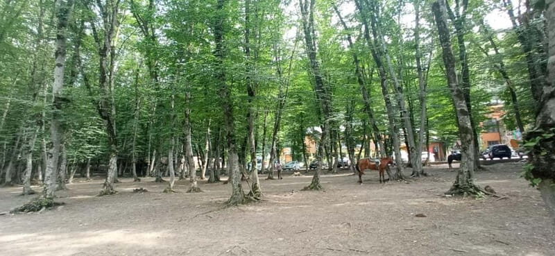 Candy Mountains - Guba - Khinaliq Guided Full Day Tour - The Itinerary and What You Can Expect