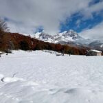 Cangas de Onís: Route in the Vegabaño Forest with lunch at a mountain refuge - Final Thoughts