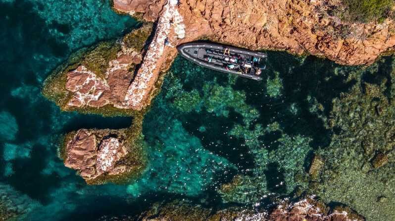 Cannes: 2.5-Hour Esterel Calanques Boat Excursion - The Itinerary: What to Expect