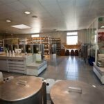 Cannes: French Riviera Private Sightseeing Shore Excursion - What Makes This Tour Stand Out?