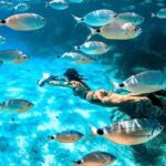 Cannes, Lérins Islands: Visit the eco-museum with a water jet propulsion system - Is It Worth the Price?