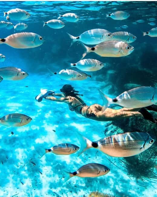 Cannes, Lérins Islands: Visit the eco-museum with a water jet propulsion system - Is It Worth the Price?