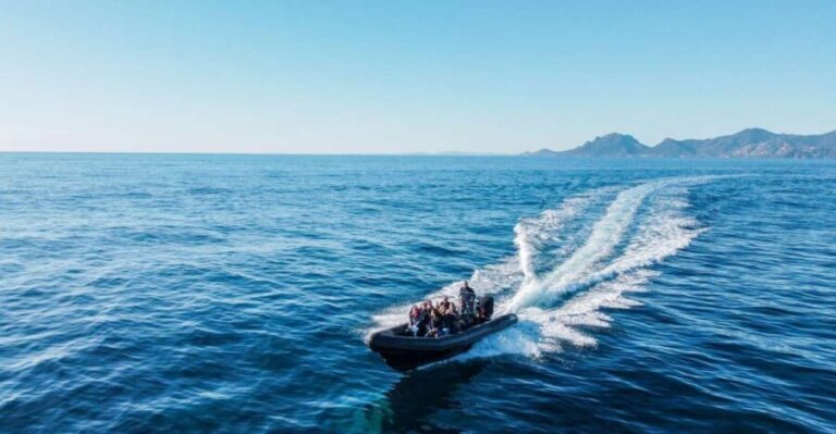 Cannes: Scenic Coves RIB Boat Tour - What to Consider