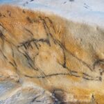 Cantabria: El Castillo Caves & Paleolithic Art - A Deep Dive into the Tour Experience