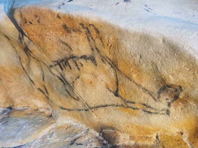 Cantabria: El Castillo Caves & Paleolithic Art - A Deep Dive into the Tour Experience