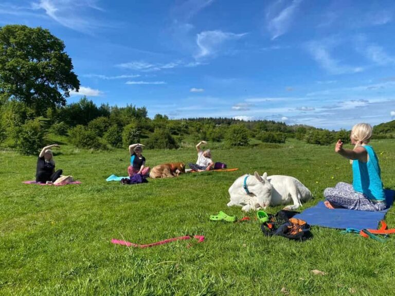 Canterbury: Yoga with Goats and Sheep - Final Thoughts: Who Will Love This Experience?