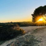 Canyamel: TimeForTwo, fun game,quiz and walk in nature - What You Can Expect During the Tour