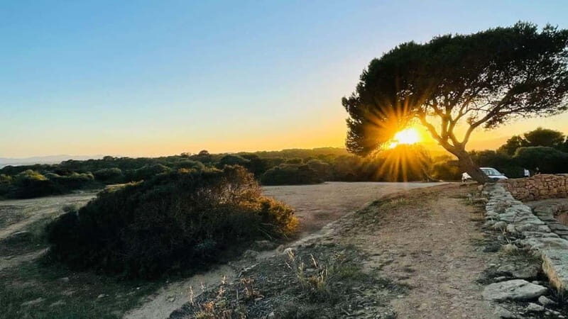 Canyamel: TimeForTwo, fun game,quiz and walk in nature - What You Can Expect During the Tour