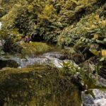 Canyoning Adventure in Ribeira da Salga (Sao Miguel - Azores) - FAQ