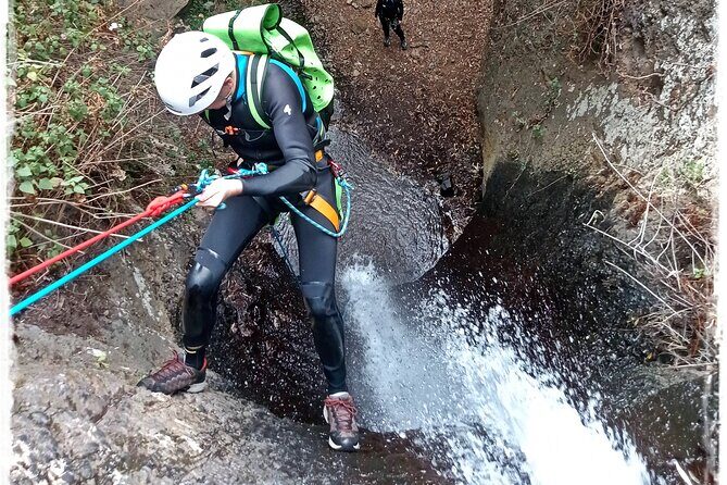 Canyoning in Rainforest: The hidden waterfalls of Gran Canaria - Who Will Love This Tour?