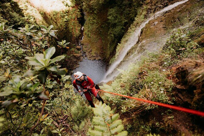 Canyoning Madeira Premium Advanced - Authentic Perspectives from Reviewers