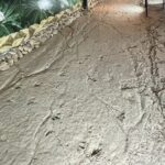 CANYONS & CAVE Tour from Kutaisi - Okatse, Martvili & Prometheus - Authentic Insights from Reviewers