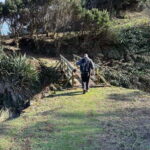 Capelas, Fenais da Luz, Tasting & Traditional Experiences - What Makes This Tour Stand Out?