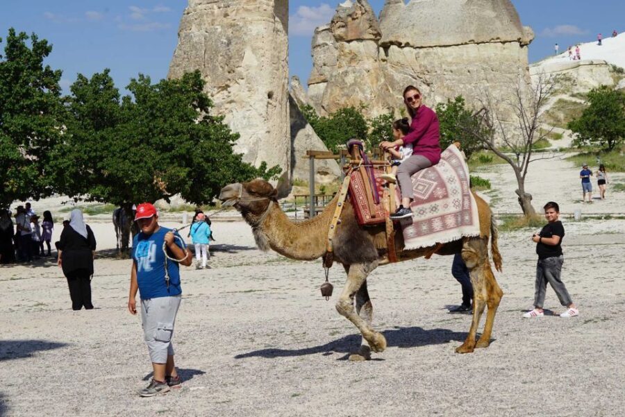Cappadoca Camel Ride - Who Will Love This Tour?