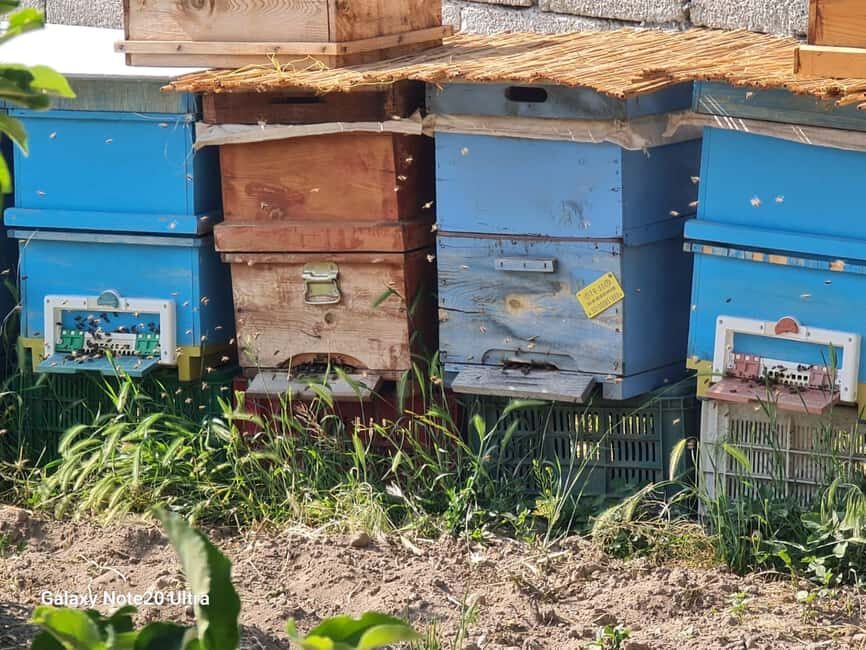Cappadocia: Beekeeping Experience with Honey Tasting - The Value and Practicalities