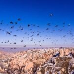 Cappadocia Green Tour - Who Will Appreciate This Tour Most?
