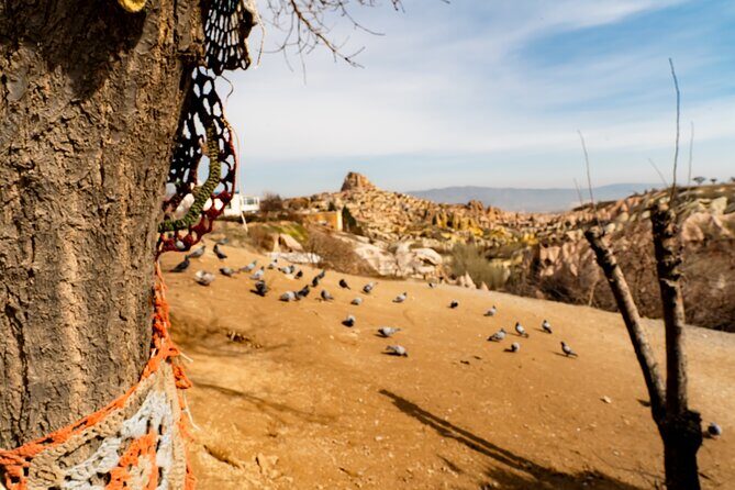 Cappadocia Mix Tour With Ticket And Lunch - Authentic Reviewer Insights