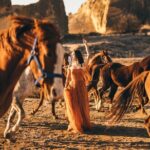 Cappadocia Photo Shoot (Cappadocia Photographer) - Practical Details and Tips