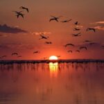 Cappadocia: Private Salt Lake Tour by Car - The Experience in Detail