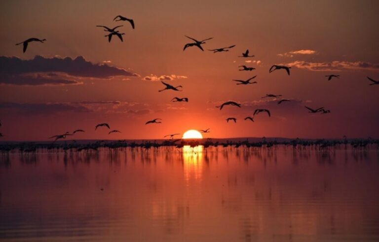 Cappadocia: Private Salt Lake Tour by Car - The Experience in Detail