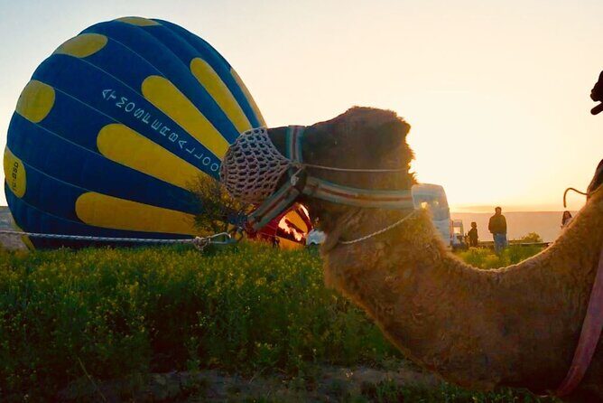 Cappadocia Sunrise Camel Safari - The Experience of Riding a Camel at Sunrise