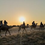 Cappadocia: Valleys Highlights Camel Tour with Hotel Pickup - What Makes This Tour Stand Out?