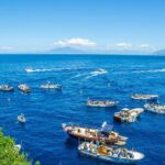 Capri and Blue Grotto Small Group Boat Tour - Who Would Love This Tour?
