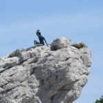 Capri Island, Blue Grotto and Positano Day Tour from Naples - Capri and the Blue Grotto: A Slice of Italy’s Most Famous Island