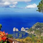 Capri Island Guided Boat Tour with Pickup from Naples - How This Experience Works for Different Travelers