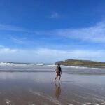 Cardiff: Gower Peninsula's Cliffs & Bays Scenic Day Tour - Final Thoughts