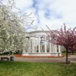 Cardiff: Private Doctor Who Walking Tour - What Makes This Tour Stand Out?