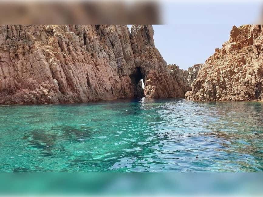 Cargèse: Capo Rosso "Snorkeling" and Sea Cave Tour - What to Expect from Your Snorkeling Adventure