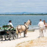 CARRIAGE Ride On The Beach (Rosário Beach) - The Setting and Atmosphere