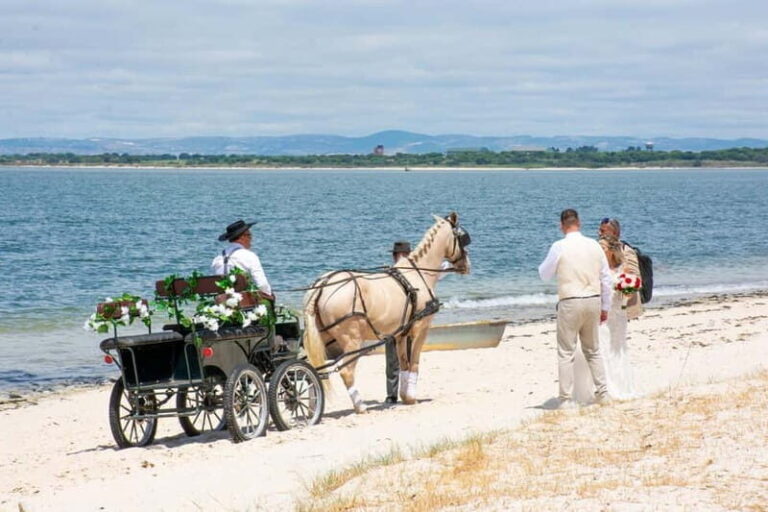 CARRIAGE Ride On The Beach (Rosário Beach) - The Setting and Atmosphere
