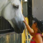 Carthusian Stud private  Yeguada de la Cartuja - Key Points