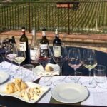 Casa Emma Wine Tasting - Who Should Book This Tour?