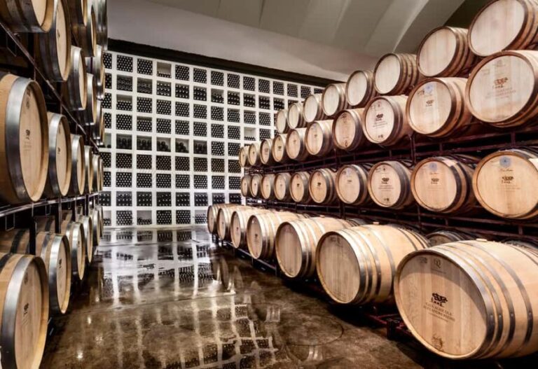 Casa Relvas, Évora - Visit to the Winery with Tasting of Portuguese Grape Varieties and Tapas - A Detailed Breakdown of the Itinerary