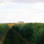 Casa Relvas, Vidigueira: Visit to the Oil Mill and Olive Oil and Wine Pairing - Exploring the Experience at Casa Relvas in Vidigueira