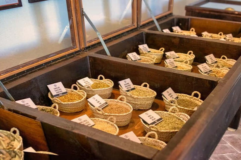 Casa Vermouth Padró: Vermouth tasting and guided visit in Bràfim (Tarragona) - Who Will Love This Tour?