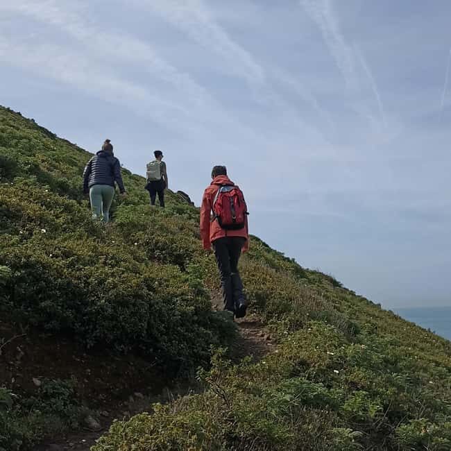 Cascais: Atlantic Coastline Wild Hike - Is It Worth the Price?