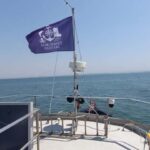 Cascais Coastal Secrets: 90-Minute Cruise with Free Drinks - Final Thoughts