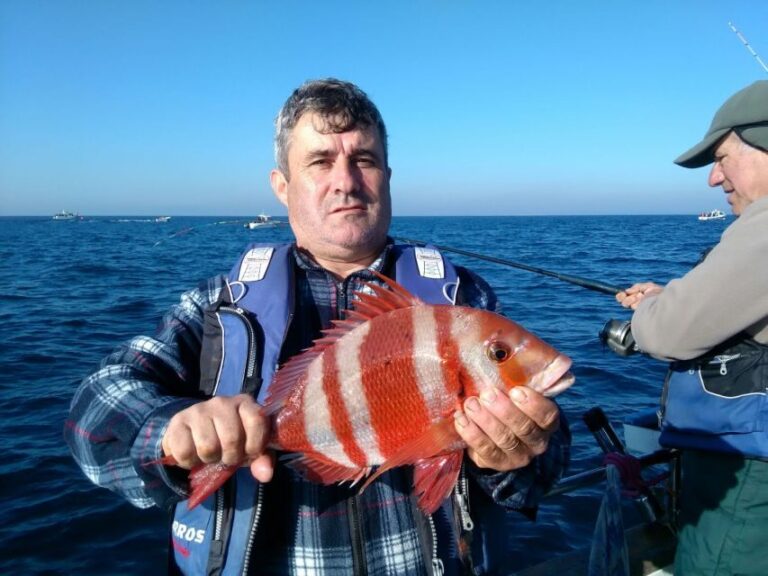 Cascais Deep-Sea Fishing Trip - The Value and Practicalities