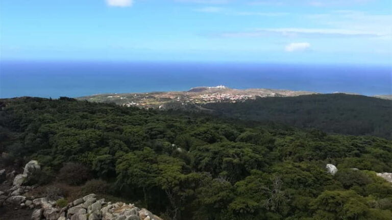 Cascais: Open Water Swimming and Hiking Experience - FAQ