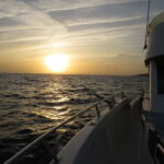 Cascais: Sunset Boat Trip with Welcome Drinks - Why It’s Worth Considering