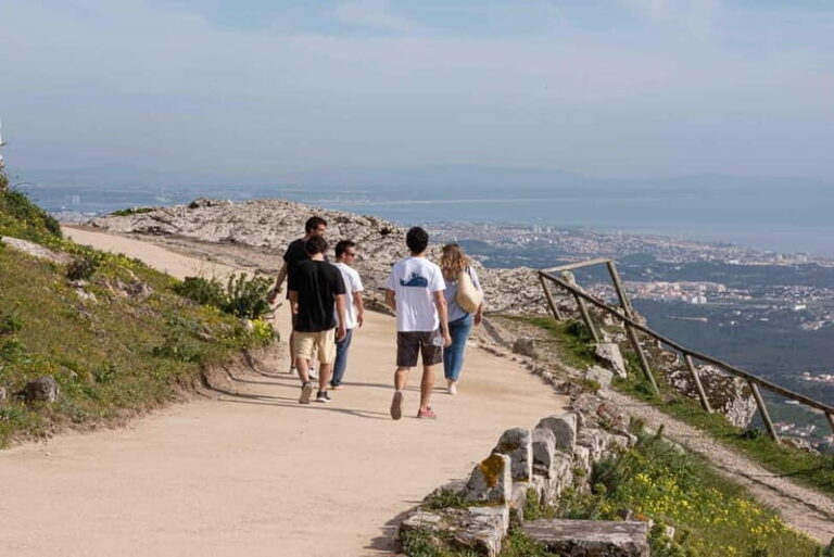 Cascais: Surfing tour within the Natural Park - Why This Tour Offers Great Value